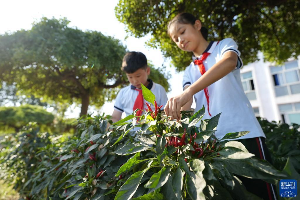 捕鱼大作战官方下载